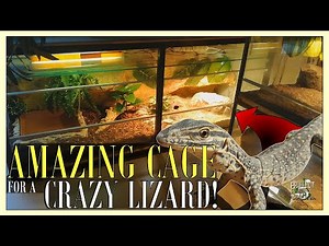 An AMAZING DIY reptile ENCLOSURE for my CRAZY Argus Monitor Lizard!｜Moving my animal