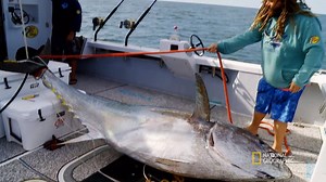 Hot Tuna's got a tuna on the line but it'll take all hands on deck to get this big boy on the boat. | Wicked Tuna
