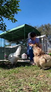 164K views · 4.4K reactions | Aimez notre page si vous êtes aussi passionné que nous par les animaux de compagnie. Vous aurez enfin accès à de nombreux contenus intéressants à leur sujet. | Omlet - Les produits pour vos animaux | Facebook