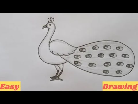 How to Draw a Peacock | Simple and Beautiful Peacock Drawing Tutorial