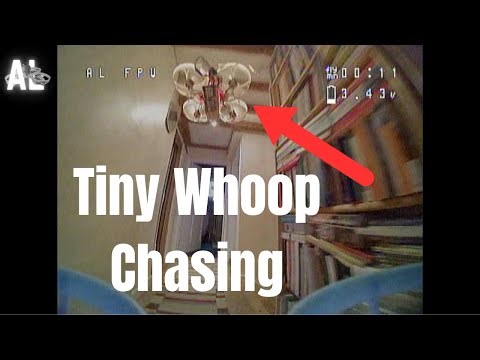 Tiny Whoop Chasing // Good old fashioned whooping!
