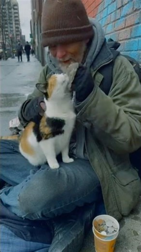 The Cat Who Stayed With a Homeless Man