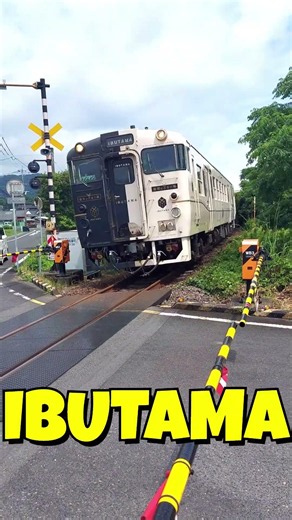 🚄 IBUTAMA 指宿のたまて箱 Passing Kamatsuki Crossing｜釜付踏切を優雅に通過！✨#Shorts