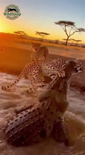 Deadly Encounter at the Water's Edge