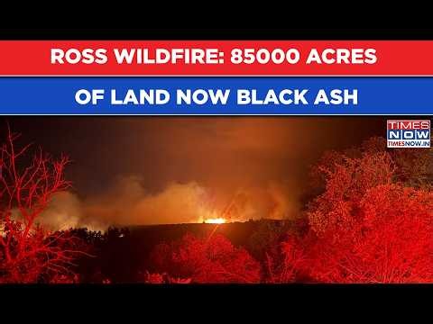 US Wildfire: Ross Fire Now Largest On Record In North Texas| 85000 Acres Of Land Now Just Black Ash