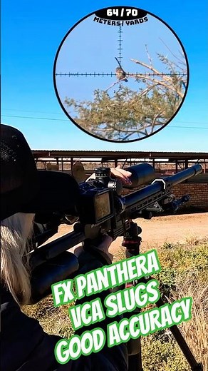FX Panthera | VCA Slugs| Good Accuracy #fxairguns