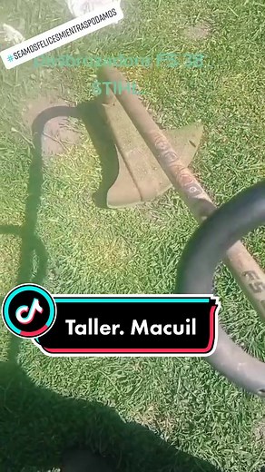 Problemas comunes de la desbrozadora STIHL FS 38