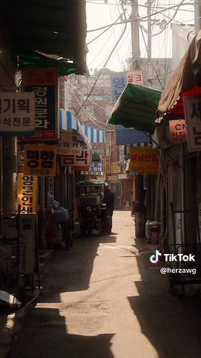 Explore the Fujifilm X-M5: Affordable Digital Camera