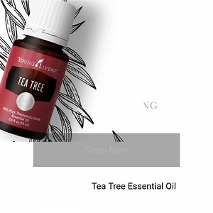 This is one of the most widely used and researched essential oils, making it a must-have for every home. | Young Living USA