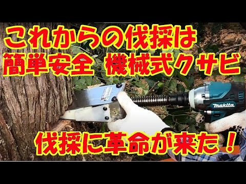 【 簡単、安全 】 山の子 24AQ （インパクトレンチ）最大揚力12ｔ（クサビ）を用いて伐採作業を簡単にします。※動画は厚生労働省の伐木等作業等の安全に関するガイドラインに沿って作業を行っております