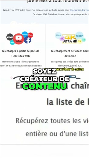 WonderFox The all-in-one tool for your videos!