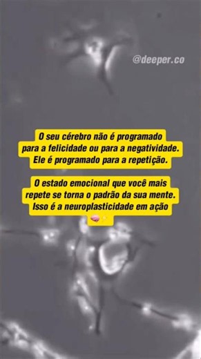 Neuroplasticidade: conheça o poder da repetição 🧠⚡️