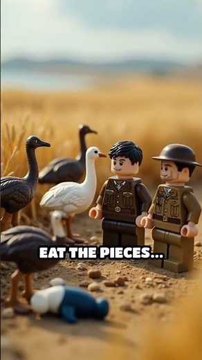 The Exploding Whale of Oregon