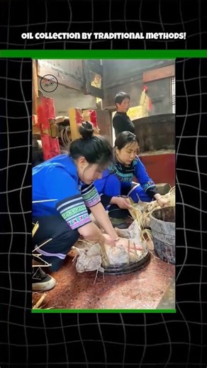 Oil collection by traditional methods! #shortvideo #oil #facts