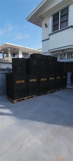 Fancy Face International Sound System on Reels