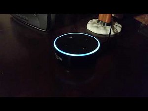 Amazon Echo Alexa Cussing at Me!