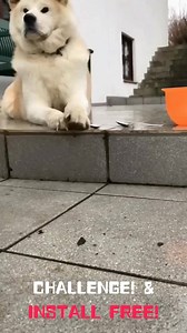 3.5M views · 415 reactions | Musical.ly ad on Reels | Facebook