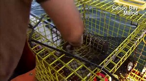 Casco Bay Steel Structures in S. Portland, ME provides the steel to build bridges all over the Northeast U.S., including the Mascoma River Bridge near Hypertherm HQ here in NH. How did they increase steel cutting from 5 to 115 inches per minute to build more bridges in less time? Watch this short but very cool video to find out. | Hypertherm North America