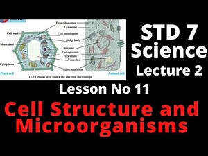 ‪@swatisclasses‬ std 7 lesson number 11 cell structure and microorganisms (lecture 2)