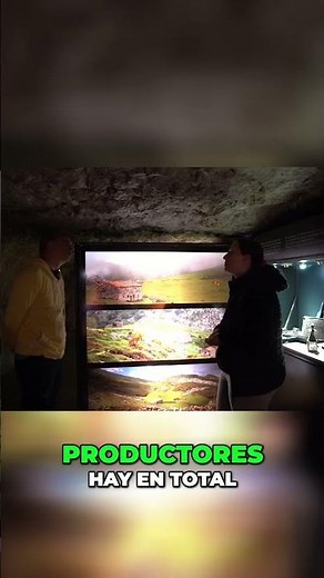 Discover authentic Cabrales cheese and how it is made