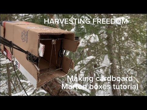 Making cardboard marten boxes