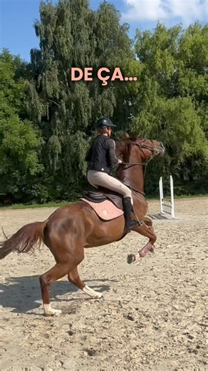 L’évolution est sans appel 😱 #cheval #chevaux #horse #equitation #equestrian #animaux #cavaliers