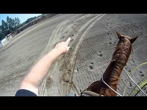 Team Roping Position 8: Heeling steers that run Hard