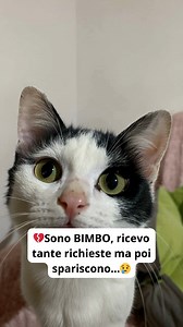 135K views · 5.3K reactions |  Ciao, io sono BIMBO… e vi devo dire...
