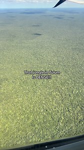 Exploring the Dense Jungle of Tulum