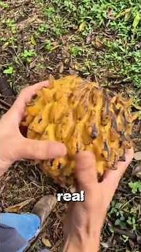 5 Fruits With Textures So Weird You Won't Believe They're Real