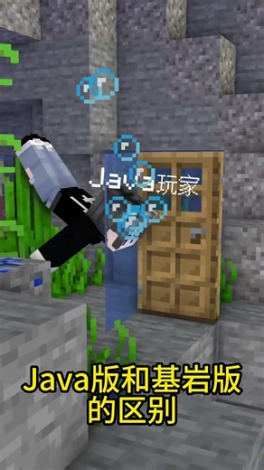 Java版和基岩版的区别 #我的世界 #方块轩动画 #游戏内容风向标