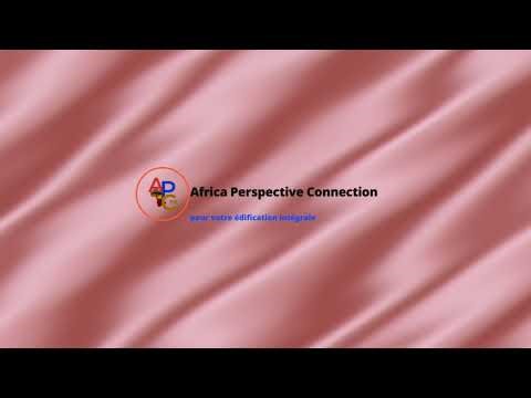 DIRECT RTNC - BRIEFING PRESS Du Gouvernement