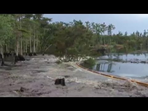 Louisiana Sinkhole Swallows Up Trees in Seconds