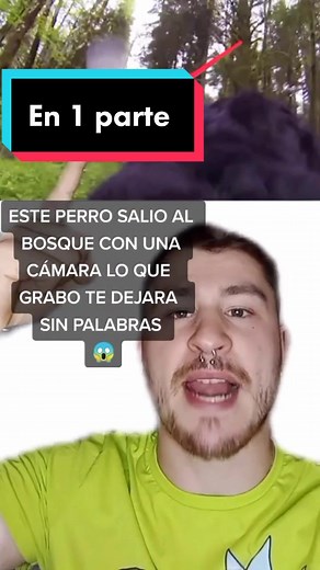 Cuentas recomendadas