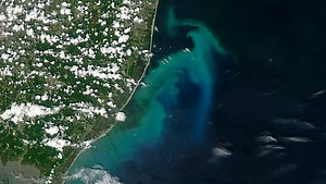 Plankton bloom gives NJ waters tropical color