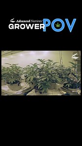 19 reactions · 20 comments | Are you ready to take your cannabis...