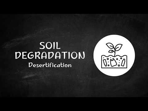 Soil Degradation Explained | Desertification and Land Degradation Crisis