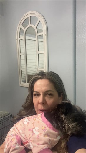 Le encanta que la carguen #mascotastiktok #yorkiesoftiktok #dogmon @creator search insight @#foryou