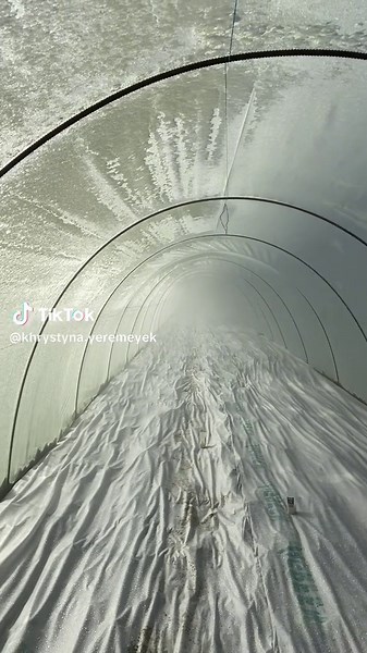 Winter Gardening Tips for Growing Squash