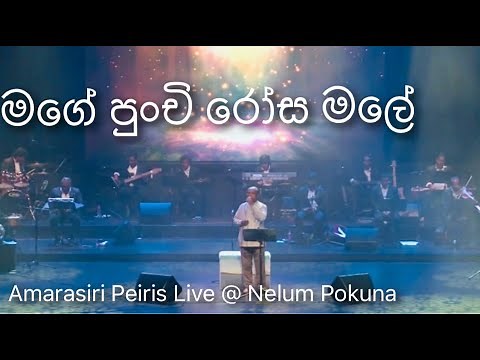 Mage Punchi Rosa Male (මගේ පුංචි රෝස මලේ) - Amarasiri Peiris Live @ Nelum Pokuna