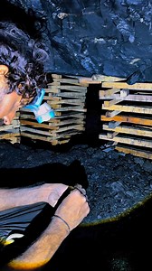 Hidden Life on Reels