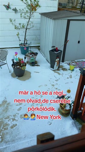 Experiencing Snow in New York: What's Your Take?