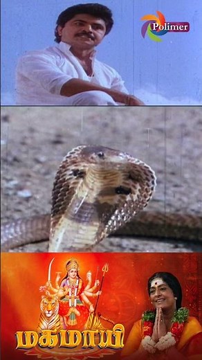 🐍🐍ஓஹா.. நீதான் அந்த பாம்பு உனக்கு பக்தி பெருசு வித்த சிறுசு ...| Mahamayee | Polimer Tv