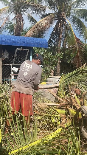 Rural Palm Tree Cutting Machine Techniques ​#Amazing #constructioncity #concrete #brickwall #constructionlife #construction #welding #technology #Innovative #Trick #steel #blacksmith #shorts #reels #workout​ #plastering #Diy #howtogrout #constructionwork #crafts #HomeBuilder #tips #art #carpenter #design #diycrafts #diyprojects #How #diy #reelsvideo | Creative Handmades Ideas Diy
