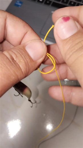 12 shares | Simple Minnow Setup! Clean, natural movement more strikes.  #MinnowRigging #FishingBeginner #FishOn #OutdoorVibes #AnglerVibes #FishingTechnique #FishingDaily | Cristal Lita Loriyana | Facebook
