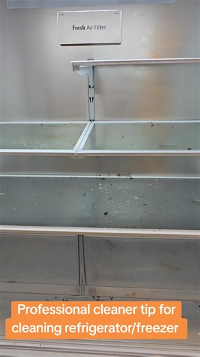 Expert Tips for Cleaning Your Refrigerator and Freezer