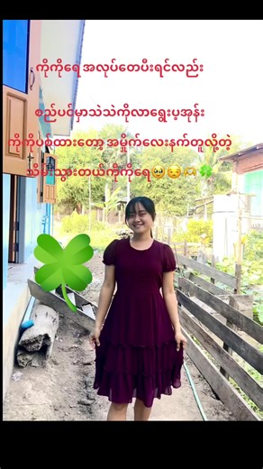 Exploring Myanmarese Life and Work Experiences