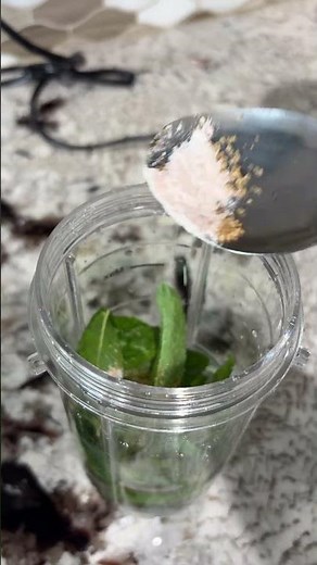Homemade Mint Lemonade with Fresh Garden Mint 🍋