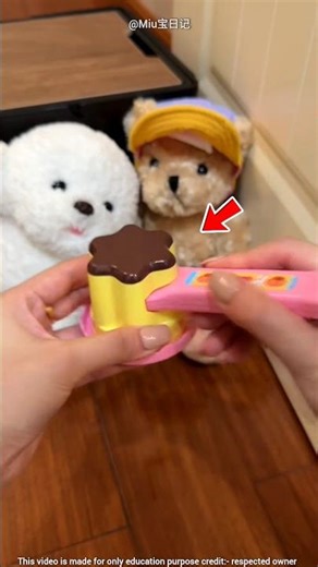 The Jealous Little Dog 🐶❤‍🩹