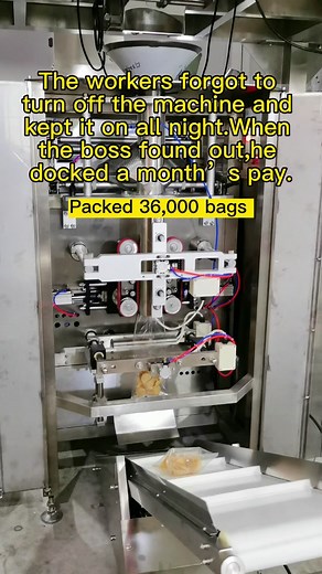 Efficient Food Packaging Machine in Action